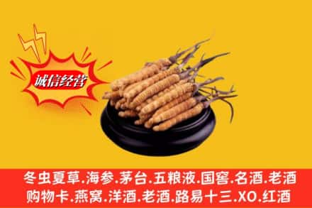 连南县求购回收虫草多少钱每克
